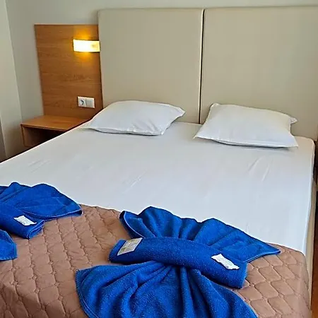 Hotel Family Milev 2*